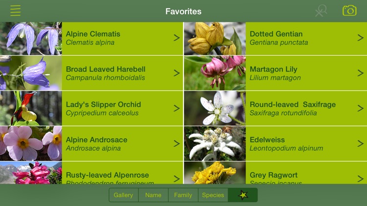 AlpineFlower Finder – a Swiss flower field guide screenshot-3