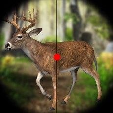 Activities of Deer Hunting Safari Adventure