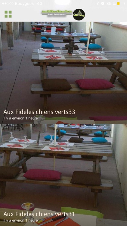 Aux fidèles chiens verts