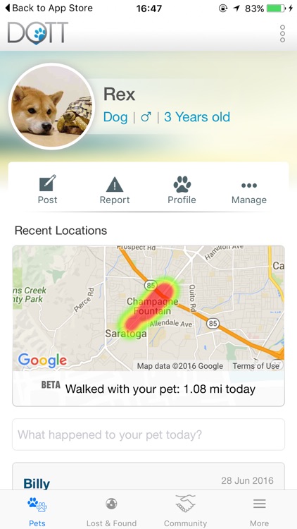 DOTT: Smart Dog Tag & Pet Lost and Found Community