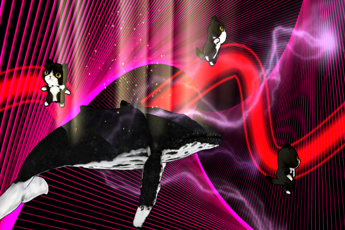 Trippy Kitty - Psychedelic Cat Game