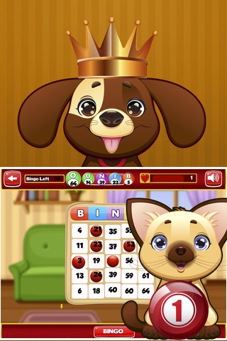 Bingo Panda Blast Pro screenshot 2