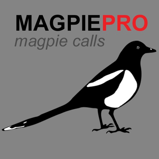 REAL Magpie Calls for Hunting + Magpie Sounds! - BLUETOOTH COMPATIBLE iOS App