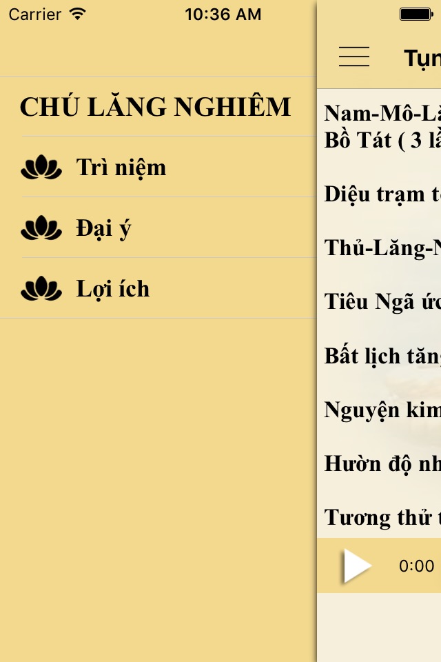 Thần Chú Lăng Nghiêm screenshot 3