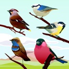 Top 19 Entertainment Apps Like Bird Sounds! - Best Alternatives