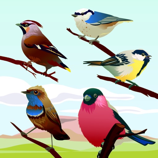 Bird Sounds! iOS App