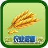 中国农业信息平台
