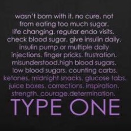 Learning Type 1 Diabetes