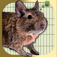 Donny Degu pour PC