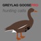 REAL Greylag Goose Hunting Calls - Greylag Goose CALLS & Greylag Goose Sounds! (ad free) BLUETOOTH COMPATIBLE