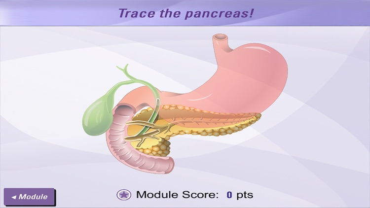 Pancreas 101 screenshot-3