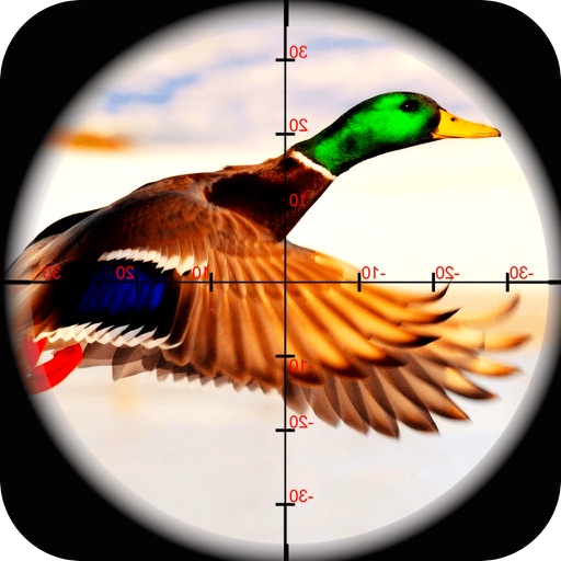 2016 Duck Hunt Pro Challenge ~ Duckling Time icon