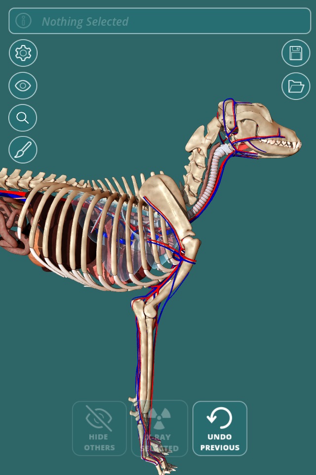 Visual Anatomy - Canine screenshot 2