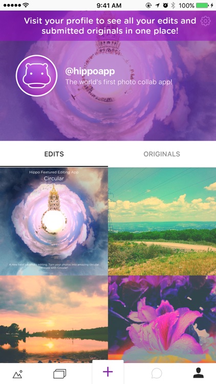 Hippo Pics screenshot-4
