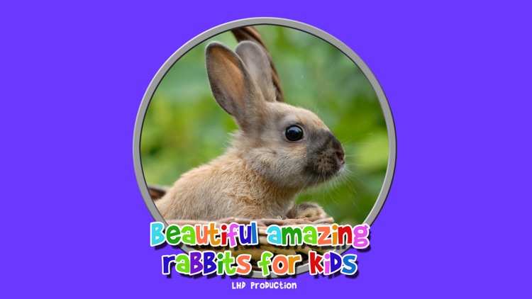 beautiful amazing rabbits for kids free screenshot-3