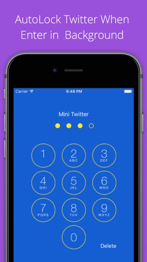 Mini for Twitter - with Lock Feature