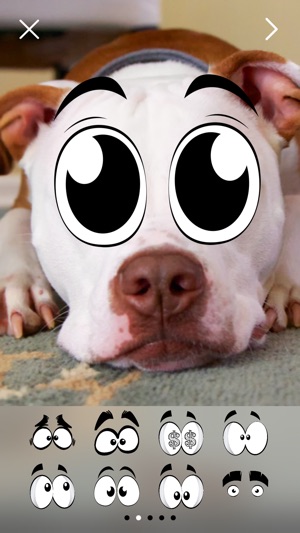 Crazy Eyes - FREE Comic Cartoon Eye Stickers Photo Editor(圖5)-速報App