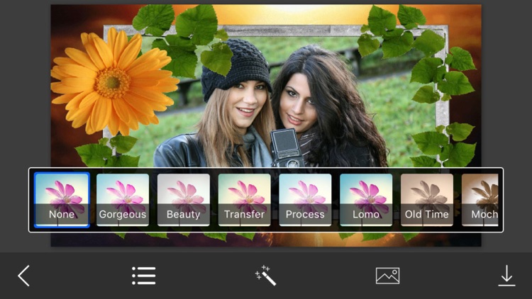 Classic Photo Frame - Art Photography & mega Frames