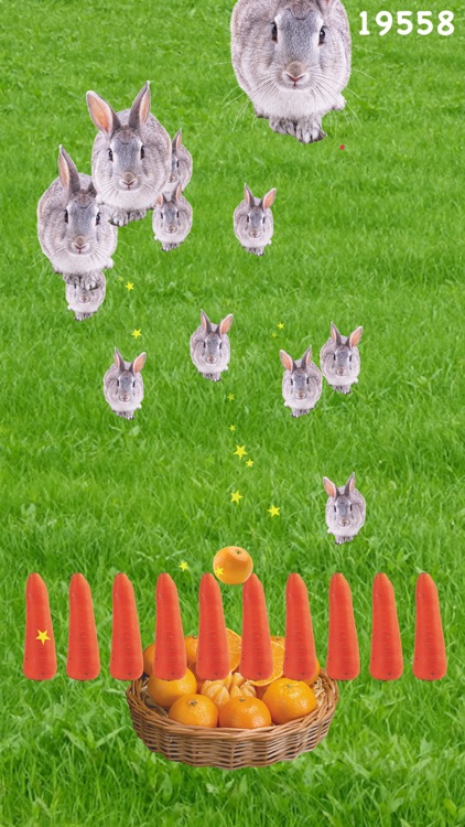 Carrot Defence