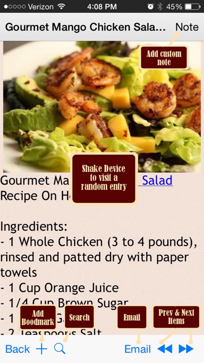 230 HCG Diet Recipes