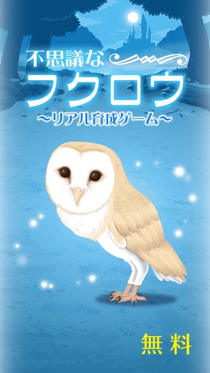 Owl Simulation Game