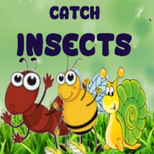 Catch Insects Game Icon