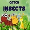 Catch Insects Game