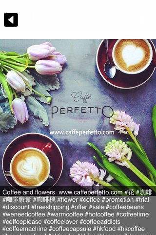 Caffe Perfetto Ltd screenshot 2