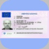 DRIVING LICENCE CHECK