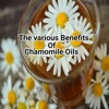 Chamomile oils
