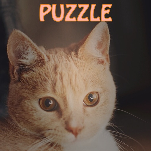 Merged Hex _ Cute cats party and simple type of the 2048 iOS App