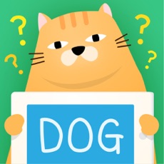 Activities of Pon! Tell me! what's this? Multi-activity game for you, your family and friends!