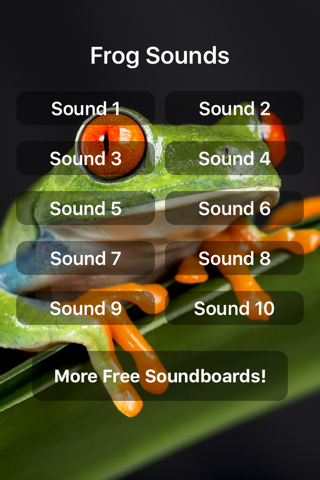 Frog Sounds - náhled