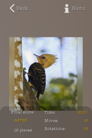 Woodpeckers Puzzles screenshot 2