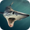 Frontline Shark Attack ~ Fishing Seaside Adventure pro