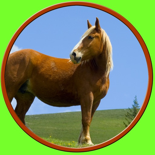 friendly horses for kids - no ads icon