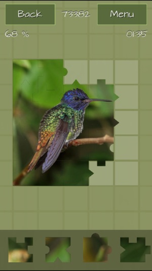 Hummingbirds Jigsaw Puzzles(圖4)-速報App