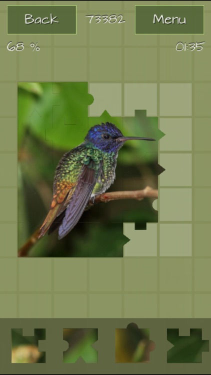 Hummingbirds Jigsaw Puzzles screenshot-3