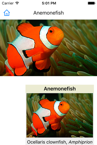 Encyclopedia of Fish screenshot 2