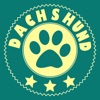 Icon Dachshund Training & Breeding App
