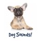 A range of Dog sounds which will be create loads of fun for kids, adults, cats and dogs