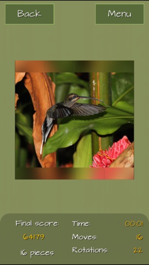 Hummingbirds Jigsaw Puzzles(圖2)-速報App