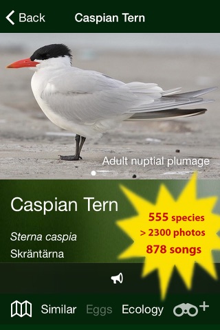 All Birds Sweden - Photo Guide screenshot 2