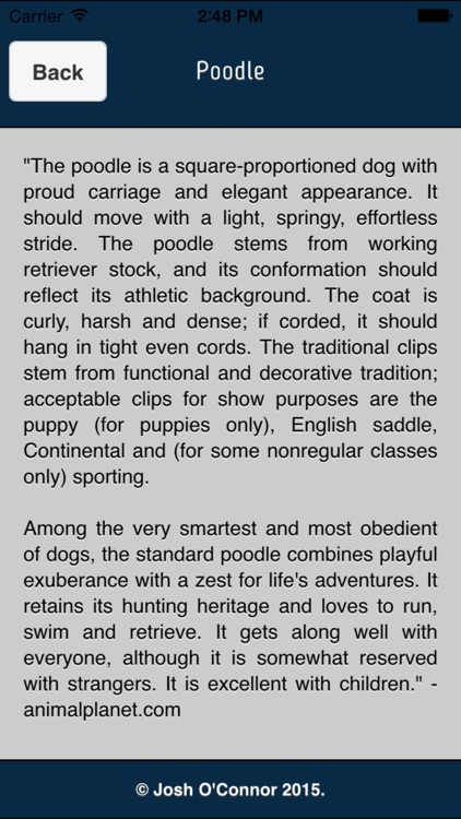 Dog Breeds 101