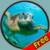 friendly turtles for kids - free