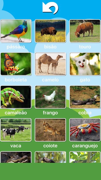 Jogos de animais para crianças : Grátis by BlueCompass.eu