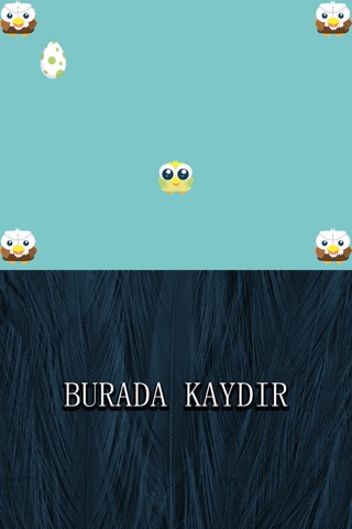 Save The Baby Bird Pro - top trap dodge arcade game screenshot 2