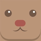 Bear - Learn new German words from push notifications everyday
