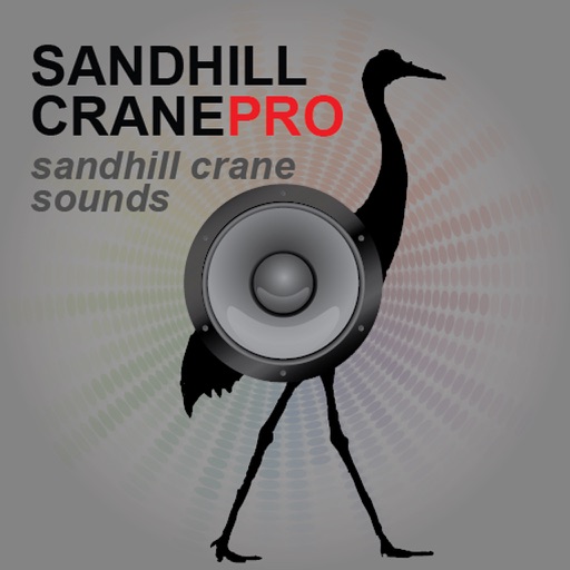 Sandhill Crane Hunting Calls - With Bluetooth Ad Free icon