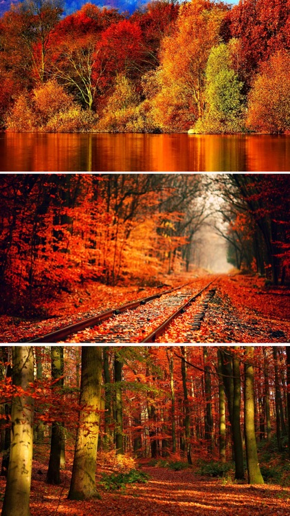 Fall Wallpapers - Beautiful Collections Of Fall Wallpapers